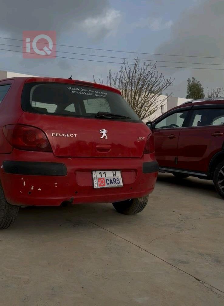 بيجو 307